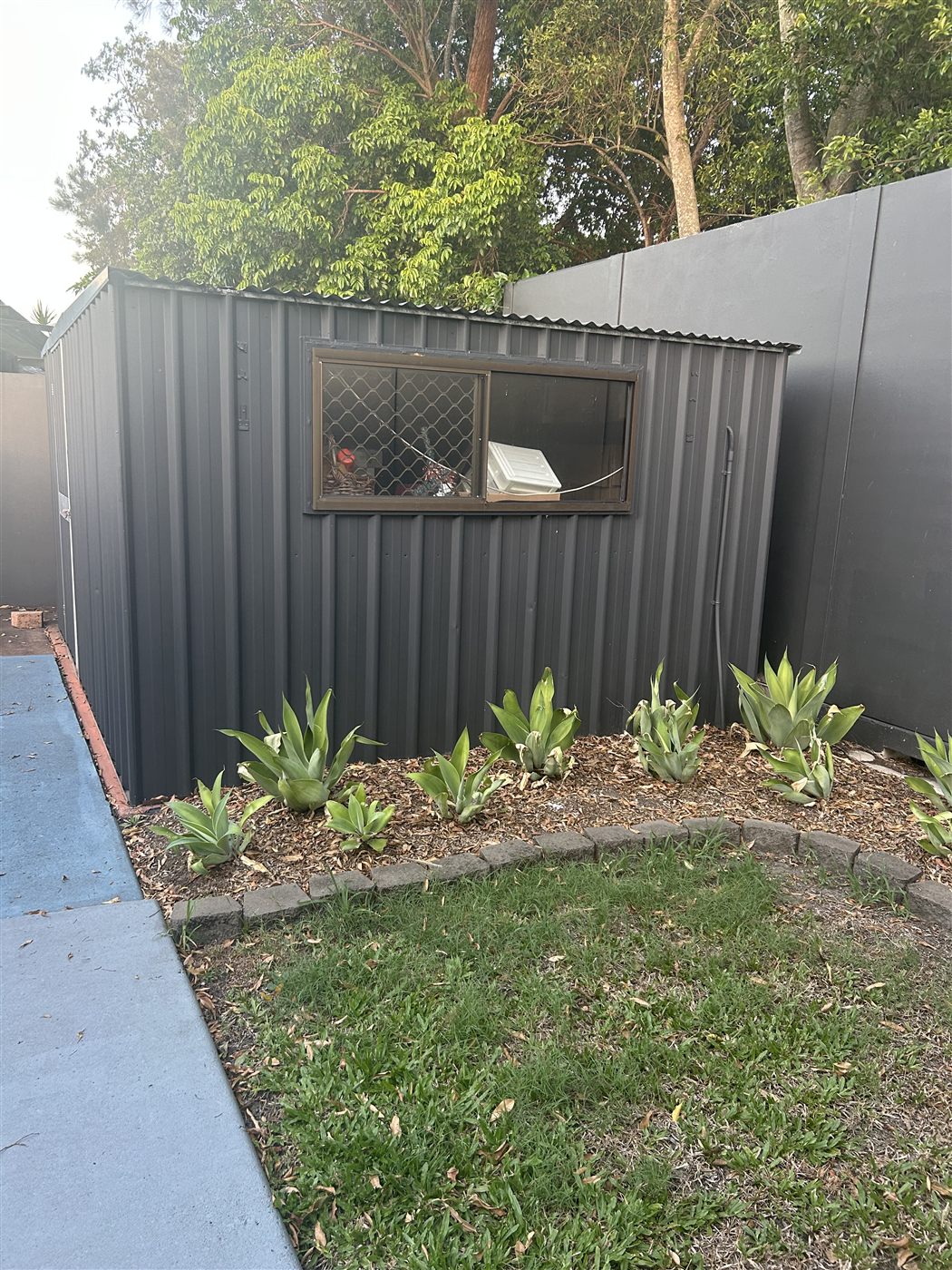 Garden shed repainted charcoal with new planted garden bed